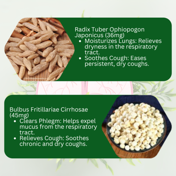 Timo Cordyceps Brefwell 50 capsules