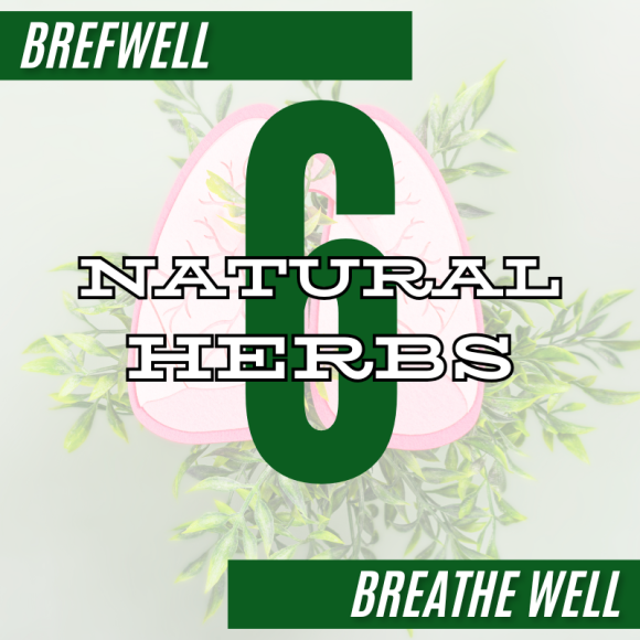 Timo Cordyceps Brefwell 50 capsules