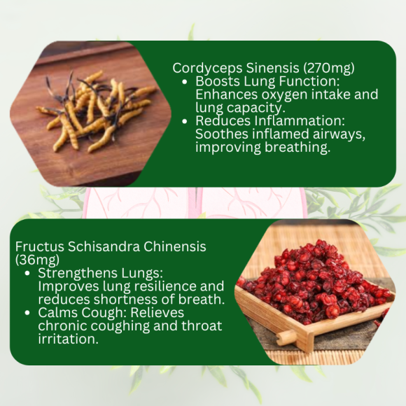 Timo Cordyceps Brefwell 50 capsules